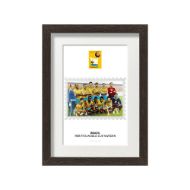 صورة الفائز بكأس العالم 1958 - البرازيل