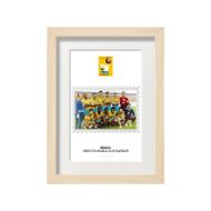 صورة الفائز بكأس العالم 1958 - البرازيل