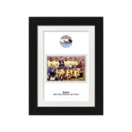 صورة الفائز بكأس العالم 1962 - البرازيل