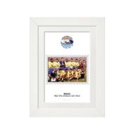 صورة الفائز بكأس العالم 1962 - البرازيل