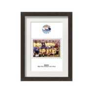 صورة الفائز بكأس العالم 1962 - البرازيل