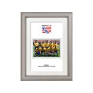 صورة الفائز بكأس العالم 1994 - البرازيل