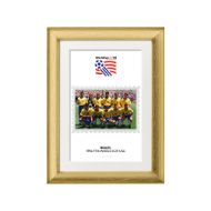 صورة الفائز بكأس العالم 1994 - البرازيل