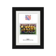 صورة الفائز بكأس العالم 1994 - البرازيل