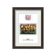 صورة الفائز بكأس العالم 1994 - البرازيل