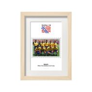 صورة الفائز بكأس العالم 1994 - البرازيل