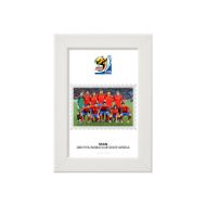 صورة الفائز بكأس العالم 2010 - أسبانيا