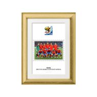 صورة الفائز بكأس العالم 2010 - أسبانيا