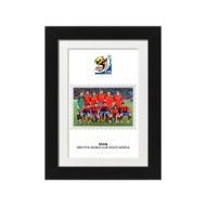 صورة الفائز بكأس العالم 2010 - أسبانيا