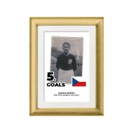 صورة الفائز بالحذاء الذهبي لكأس العالم 1934 - أولدريتش نييدلي