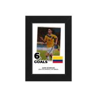 صورة الفائز بالحذاء الذهبي لكأس العالم 2014 - خاميس رودريجيز