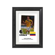 صورة الفائز بالحذاء الذهبي لكأس العالم 2014 - خاميس رودريجيز