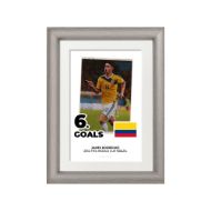 صورة الفائز بالحذاء الذهبي لكأس العالم 2014 - خاميس رودريجيز