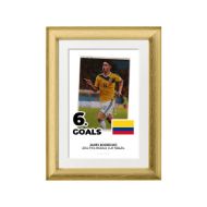 صورة الفائز بالحذاء الذهبي لكأس العالم 2014 - خاميس رودريجيز