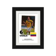 صورة الفائز بالحذاء الذهبي لكأس العالم 2014 - خاميس رودريجيز