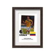 صورة الفائز بالحذاء الذهبي لكأس العالم 2014 - خاميس رودريجيز