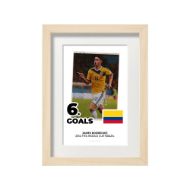 صورة الفائز بالحذاء الذهبي لكأس العالم 2014 - خاميس رودريجيز