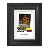 صورة الفائز بالحذاء الذهبي لكأس العالم 2014 - خاميس رودريجيز