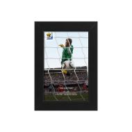 صورة هدف لامبارد غير المحسوب ضد ألمانيا 2010 (2)