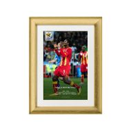 صورة ضربة جزاء جيان الضائعة ضد الأوروجواي 2010