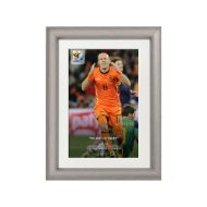 صورة فرصة روبن الضائعة ضد أسبانيا 2010