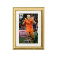 صورة فرصة روبن الضائعة ضد أسبانيا 2010