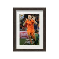 صورة فرصة روبن الضائعة ضد أسبانيا 2010