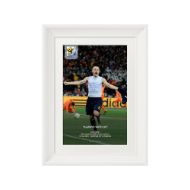 صورة هدف إنيستا ضد هولندا 2010 (2)