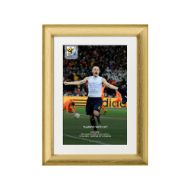 صورة هدف إنيستا ضد هولندا 2010 (2)