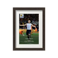 صورة هدف إنيستا ضد هولندا 2010 (2)