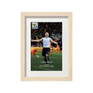 صورة هدف إنيستا ضد هولندا 2010 (2)