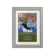 صورة هدف فان بيرسي ضد أسبانيا 2014