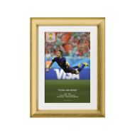 صورة هدف فان بيرسي ضد أسبانيا 2014