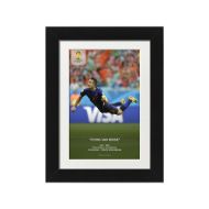 صورة هدف فان بيرسي ضد أسبانيا 2014