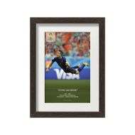 صورة هدف فان بيرسي ضد أسبانيا 2014