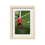 صورة هدف سون ضد ألمانيا 2018