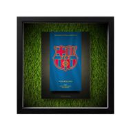 صورة شعار برشلونة - خلفية سوداء - عشبية مضيئة