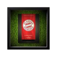 صورة شعار بايرن ميونخ - خلفية سوداء - عشبية مضيئة