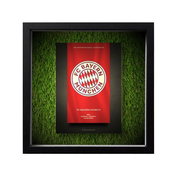 صورة شعار بايرن ميونخ - خلفية سوداء - عشبية مضيئة