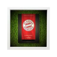 صورة شعار بايرن ميونخ - خلفية سوداء - عشبية مضيئة