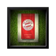 صورة شعار بايرن ميونخ - خلفية بيضاء - عشبية مضيئة