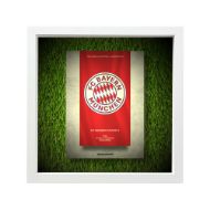 صورة شعار بايرن ميونخ - خلفية بيضاء - عشبية مضيئة