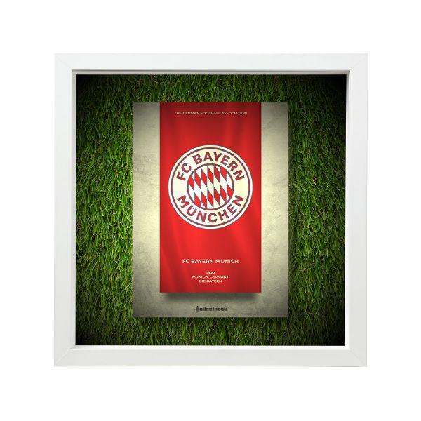 صورة شعار بايرن ميونخ - خلفية بيضاء - عشبية مضيئة