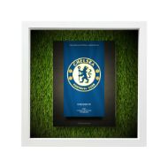 صورة شعار تشيلسي - خلفية سوداء - عشبية مضيئة