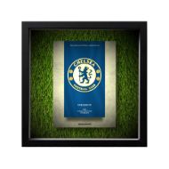 صورة شعار تشيلسي - خلفية بيضاء - عشبية مضيئة