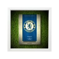 صورة شعار تشيلسي - خلفية بيضاء - عشبية مضيئة