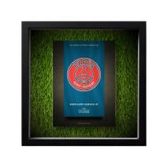 صورة شعار باريس سان جيرمان - خلفية سوداء - عشبية مضيئة