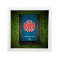 صورة شعار باريس سان جيرمان - خلفية سوداء - عشبية مضيئة