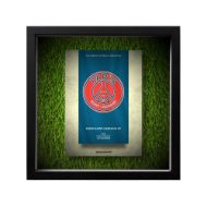 صورة شعار باريس سان جيرمان - خلفية بيضاء - عشبية مضيئة