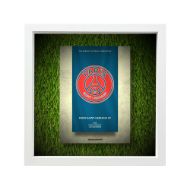 صورة شعار باريس سان جيرمان - خلفية بيضاء - عشبية مضيئة